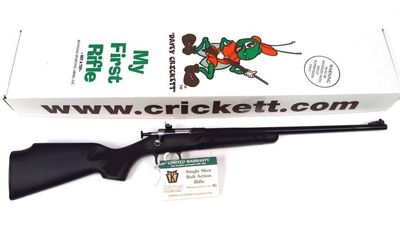 Упаковка с ружьем Cricket.